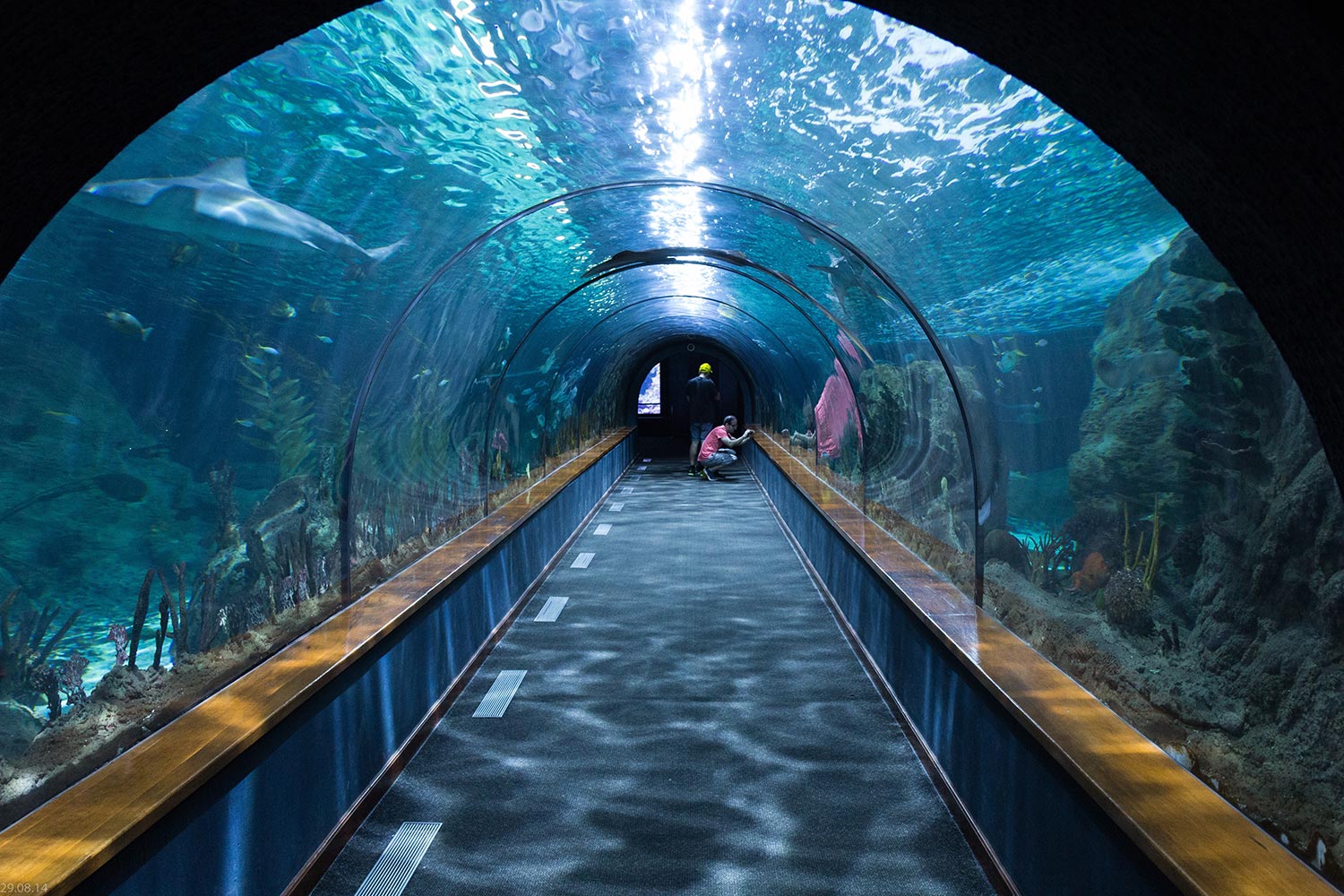 Aquarium de la Touraine