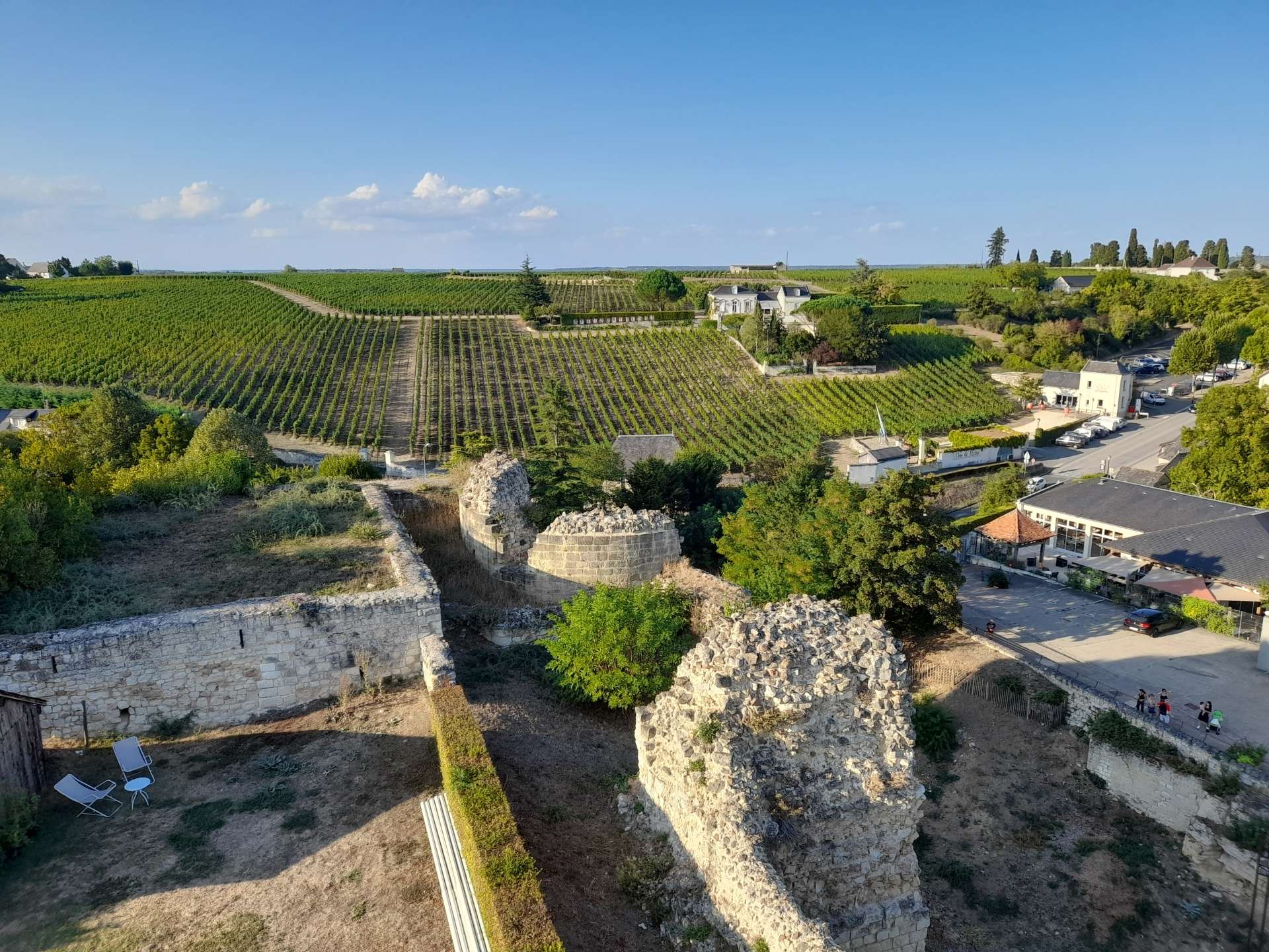 Vignoble de Chinon