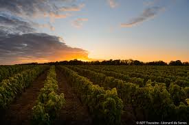 Vignoble de Vouvray